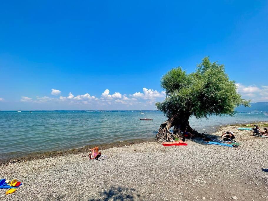 ברגנץ Seeparkvilla - Wohlfuehlen Am See Und Im Gruenen מראה חיצוני תמונה